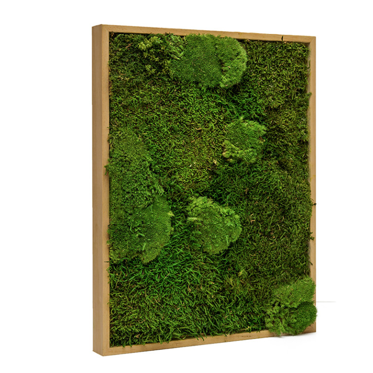 Mosschilderij Lappenmos-Bolmos 40x60 cm Eikenhout - Boras