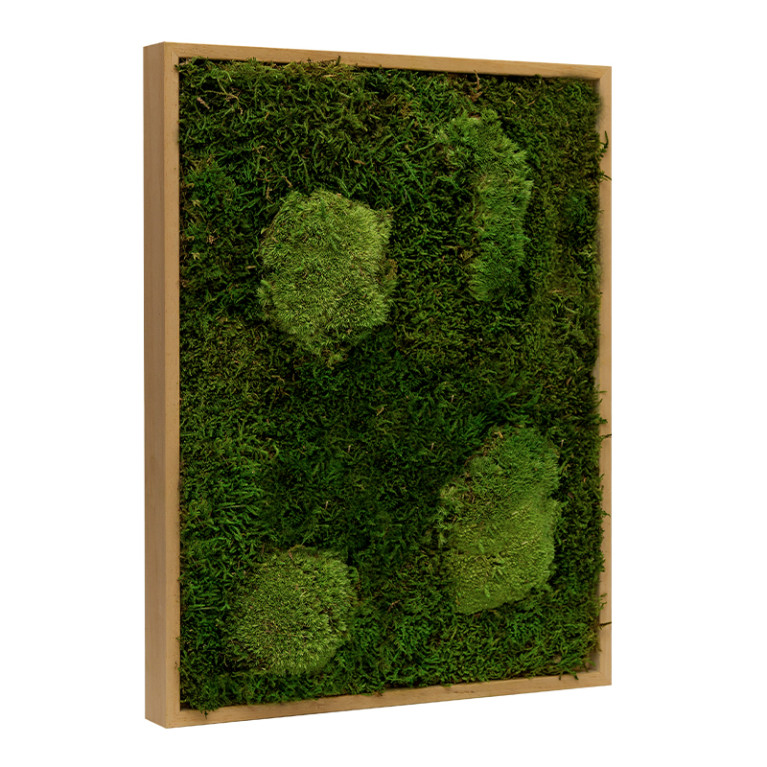 Mosschilderij Lappenmos-Bolmos 30x40 cm Eikenhout - Viborg - Zijkant