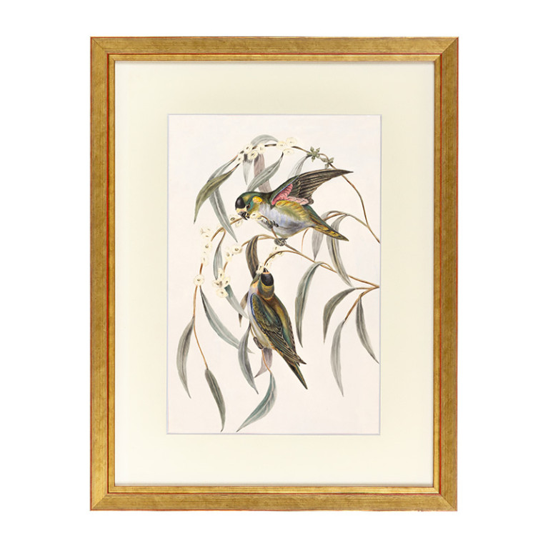 Fotolijst Tropez Goud A1 (59,4x84,1 cm) - Art Print en Passe Partout