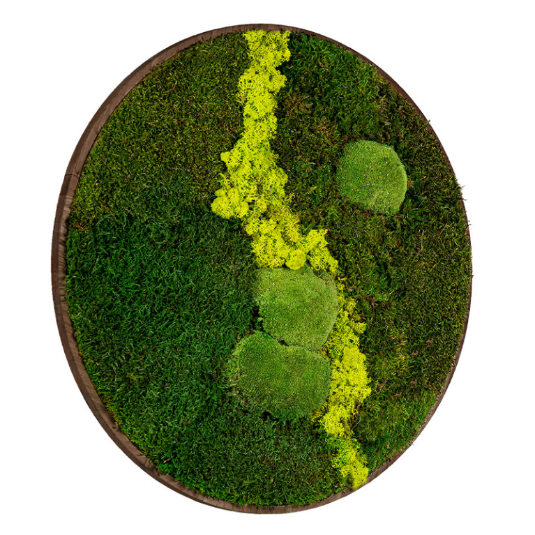 Mos Schilderij Rond 60 cm Donker Eiken Uppsala Lentegroen - Zijaanzicht