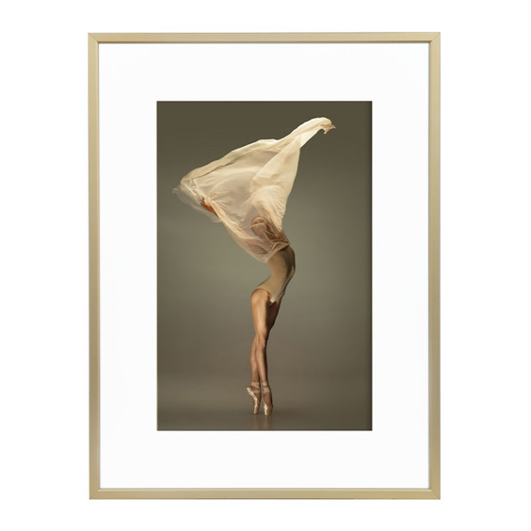 Wissellijst Champagne A0 - Art Print en Passe Partout